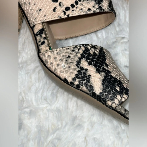 Madden Girl | Snake Print Chunky Heels - Picture 4 of 14